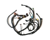  Main Wiring Harness for Saina CNG
